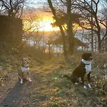 펜션 Oak Near & 론네