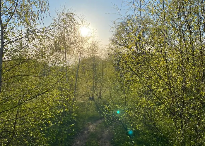 Prázdninový dům Oak Near &