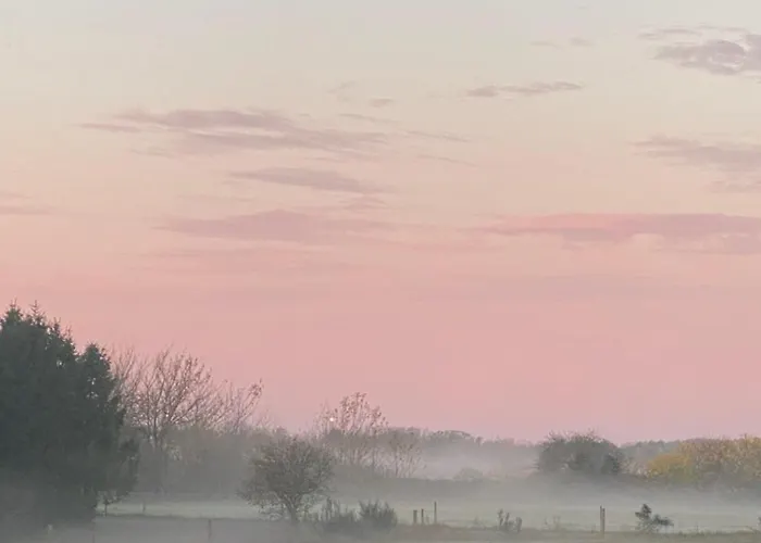 Oak Near & Rønne